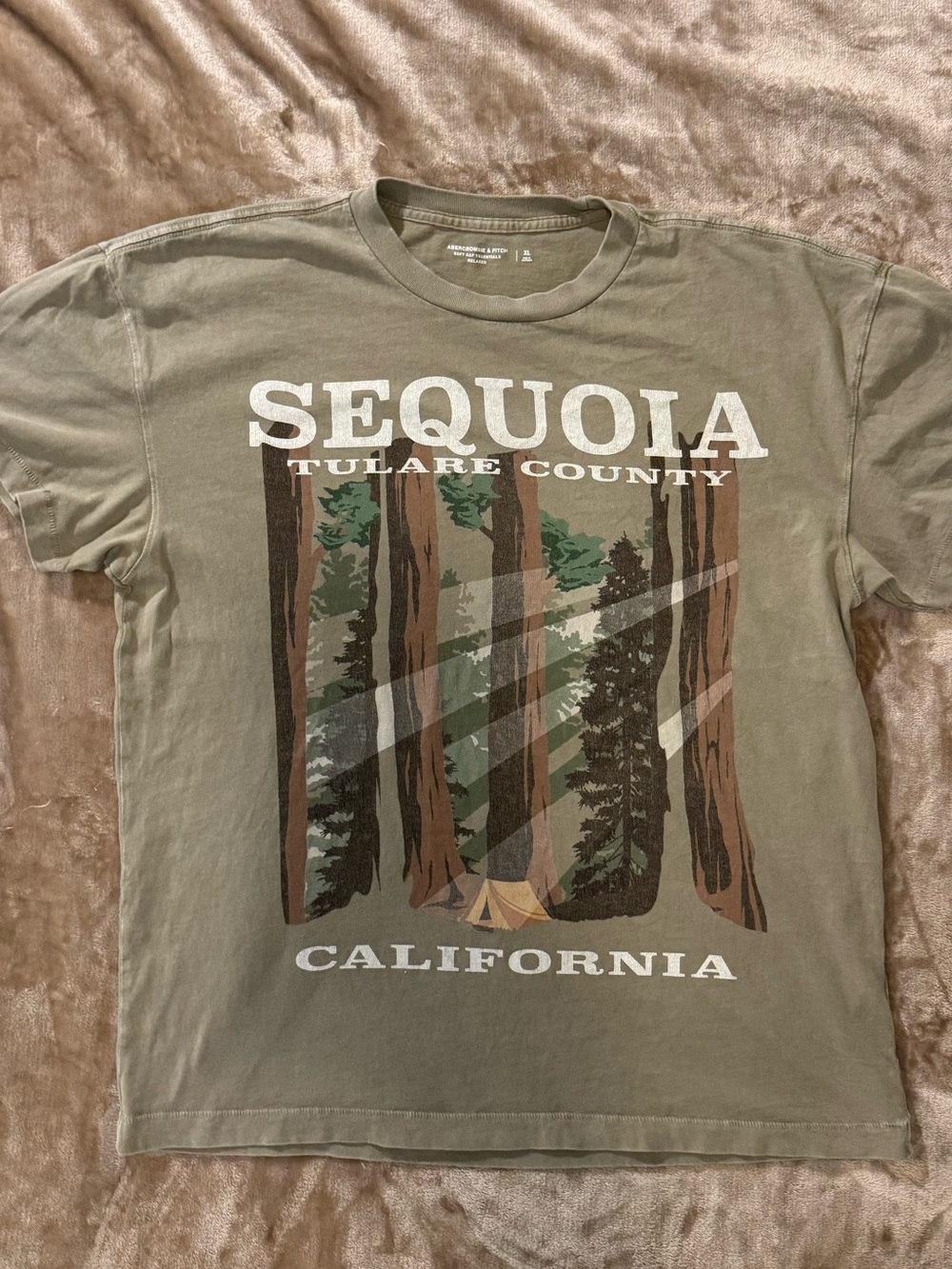 Abercrombie and Fitch Sequoia California Graphic Tee - Olive Green